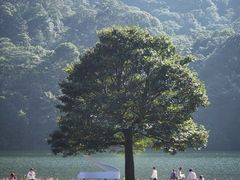 -广州市石门国家森林公园