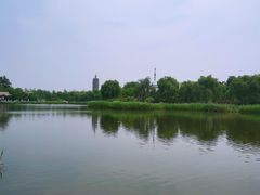 -西海子公园