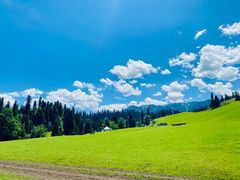 -新疆那拉提国家旅游度假区