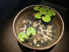 -曲水兰亭(北京四惠店)