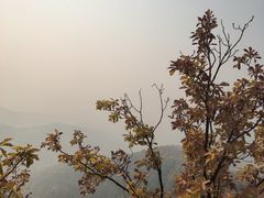 -吉林市朱雀山国家森林公园