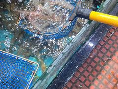 -海大大蒸汽海鲜餐厅·粤菜·特色小炒(欢乐颂店)