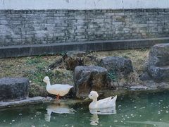 -镇江中国醋文化博物馆