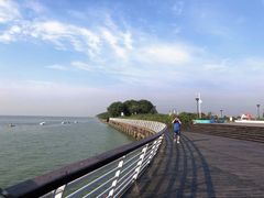 -贡湖湾湿地公园