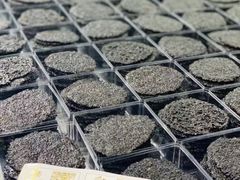 芝麻饼-佩家私房烘焙(宝龙店)