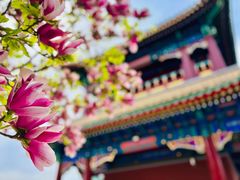 -天津大悲禅院