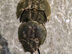 -福州罗源湾海洋世界旅游区