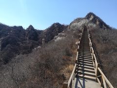 -大岭沟猕猴桃谷风景区