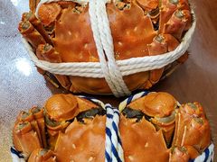 -紫光园·烤鸭·北京菜(劲松店)