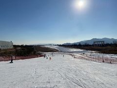 -华彬猛犸滑雪场