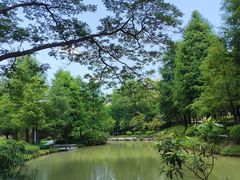 -中山市树木园