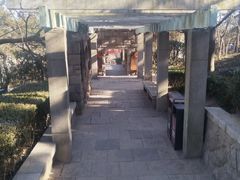 -观象山公园