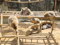 -杭州野生动物世界