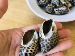 白煮海螺-ZF Seafood Restaurant 卓峰海鲜餐