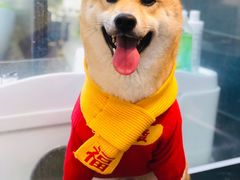 -萌兽医馆·眼科·异宠专科(三里屯店)