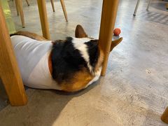 -KYO COFFEE(胶州路店)