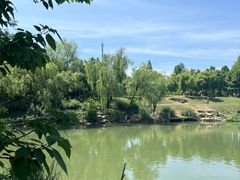-中国湿地博物馆