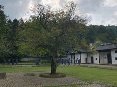 -井冈山风景名胜区