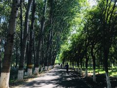 -东郊湿地公园