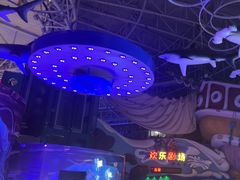 -烟台海昌鲸鲨海洋公园