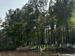 -范蠡湖公园