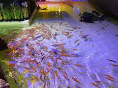 -华夏文旅西安度假区
