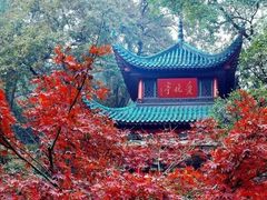 -岳麓山风景名胜区