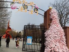 -桃花堤公园