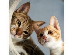 -中关村生命科学园