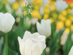 -静安雕塑公园