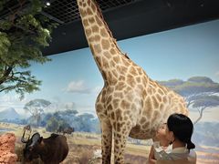 -陕西自然博物馆