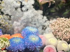 -爱尚幸福鲜花(上地实体店)