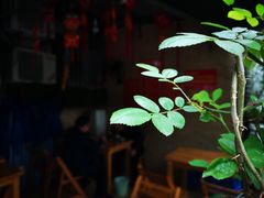 -左撇子私房面