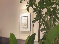 -桂满陇·海市蜃楼·黑金(国金店)