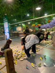 -酷嗒动物文化乐园(cutezoo西溪乐天城店)