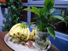-悦健身私教工作室(双井店)