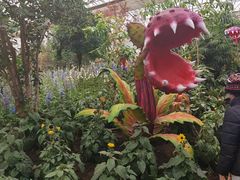 -沈阳植物园