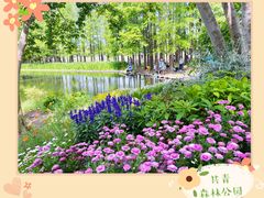 -上海共青森林公园