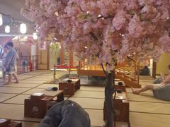 -汤泉良子(金源店)