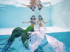 -上海潜殿潜水中心