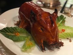 乳猪焗饭-8餐厅(新葡京酒店)