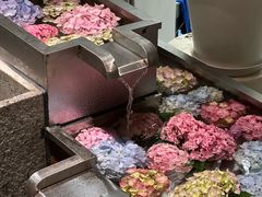 -瑞虹新天地月亮湾