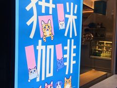 -飞行喵MR PILOT|猫舍·猫咖(静安大融城店)