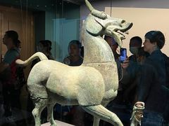 -广西壮族自治区博物馆