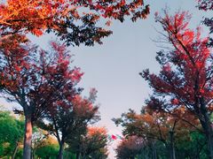 -上海海事大学(临港校区)