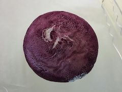 -BreadTalk面包新语·烘焙蛋糕(海珠丽影广场店)