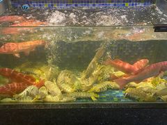 -新荣记(椒江店)