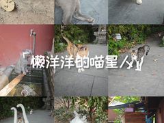 -武汉长春观