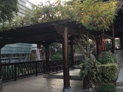 -活水公园