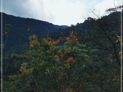 -广州市石门国家森林公园